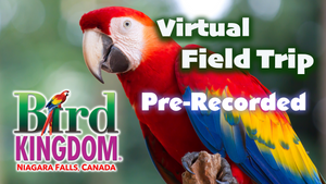 Pre-Recorded Virtual Field Trip